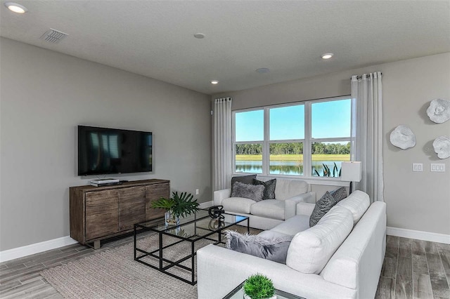 living room with a textured ceiling and wood-type flooring