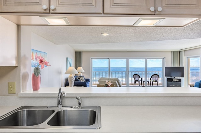 kitchen with sink and a textured ceiling