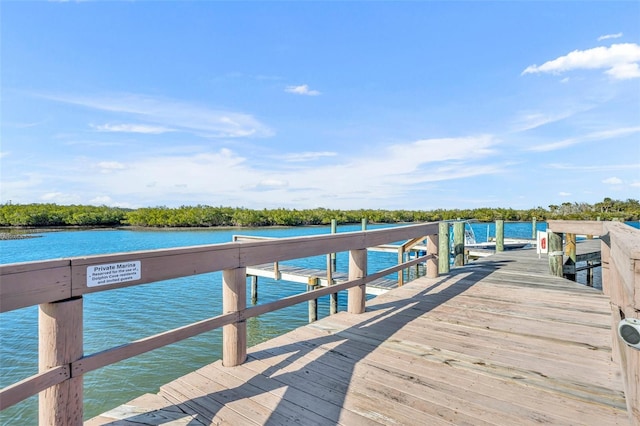 dock area featuring a water view