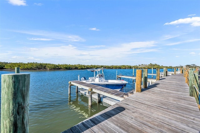 dock area featuring a water view