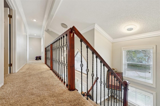 stairs featuring a textured ceiling, carpet, and crown molding