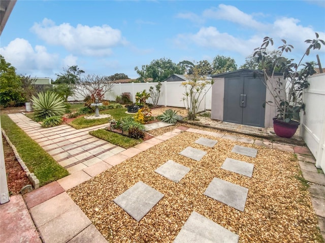 view of yard featuring a patio area and a storage unit