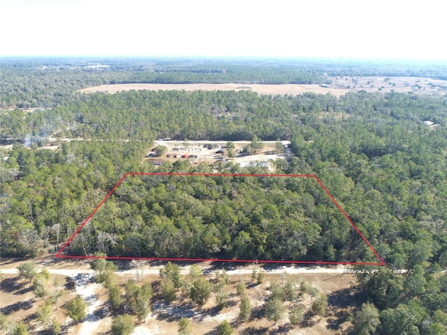 NE 135th Ter, Williston FL, 32696 land for sale