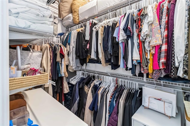 view of walk in closet