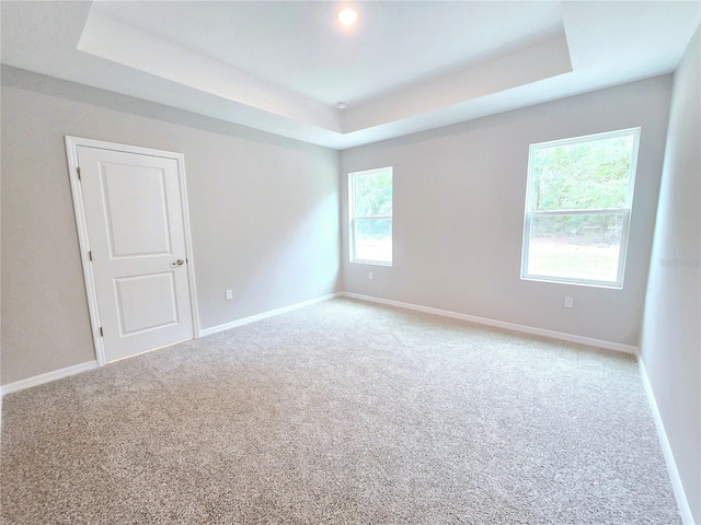 spare room with carpet floors, a wealth of natural light, and a tray ceiling