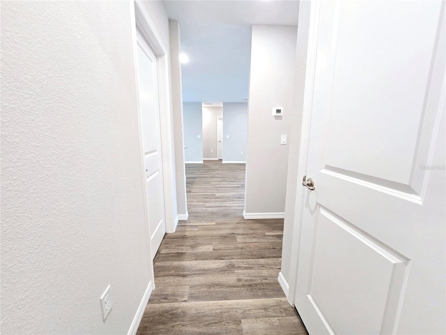 hallway featuring wood-type flooring