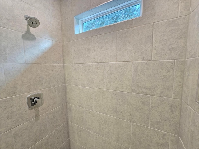 room details with a tile shower