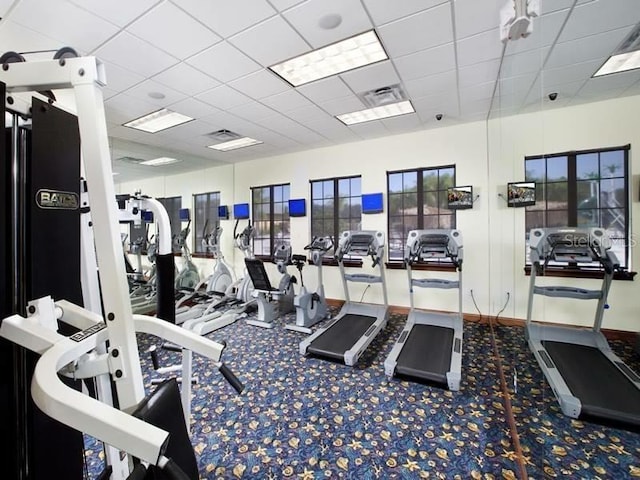 gym featuring carpet floors and a drop ceiling