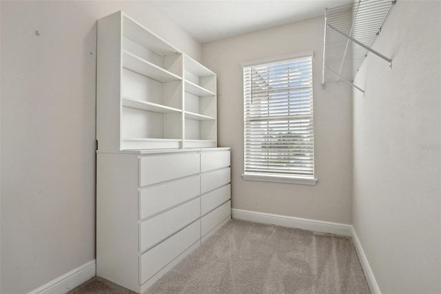 spacious closet featuring light colored carpet