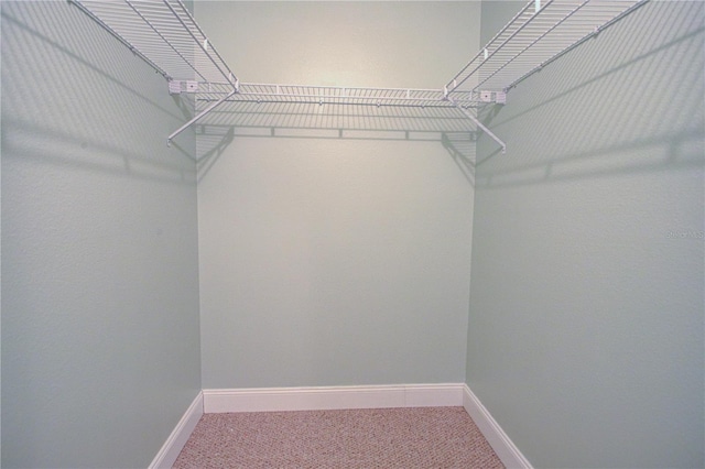 spacious closet with carpet floors