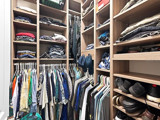 view of spacious closet