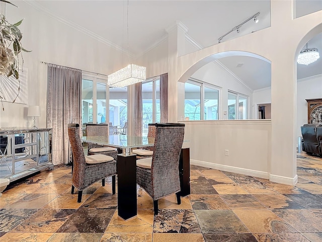 dining area with lofted ceiling, ornamental molding, rail lighting, and plenty of natural light