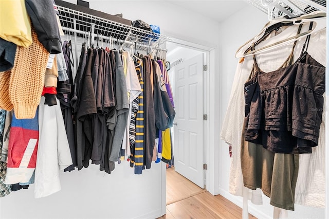 spacious closet with hardwood / wood-style flooring