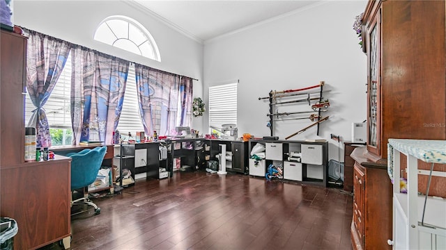 office with a high ceiling, dark hardwood / wood-style floors, and crown molding