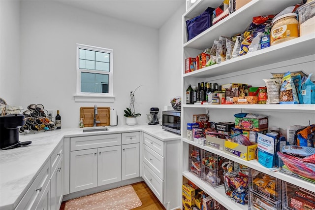 pantry with sink