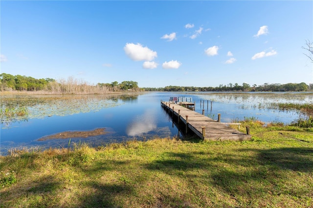 dock area featuring a yard and a water view