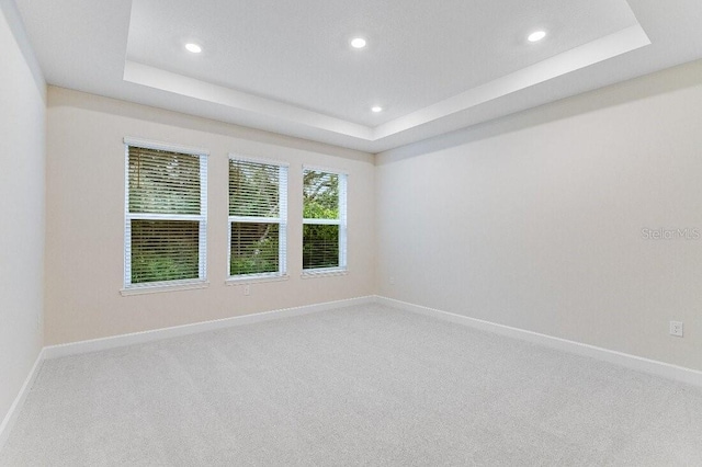 empty room with a raised ceiling and carpet