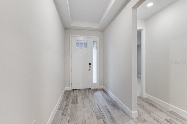 foyer entrance featuring a tray ceiling and light hardwood / wood-style flooring