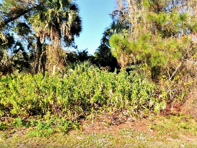 Tusket Ave Lot 19, North Port FL, 34286 land for sale