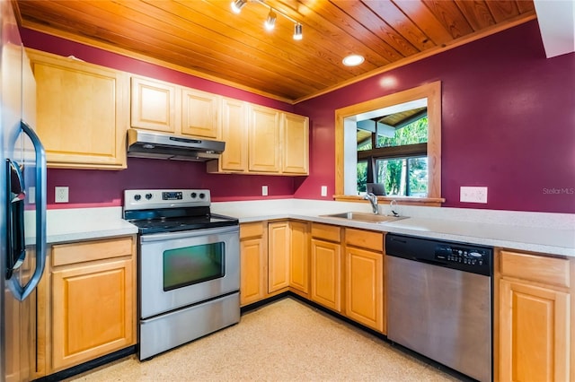 kitchen with sink, ornamental molding, and stainless steel appliances