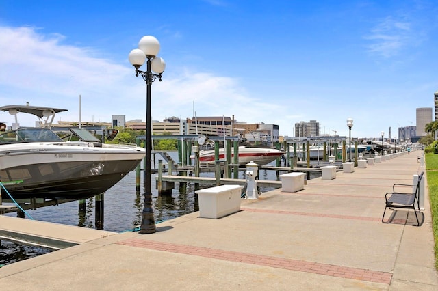 dock area with a water view