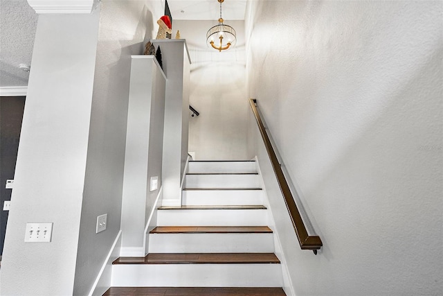 stairway with wood-type flooring