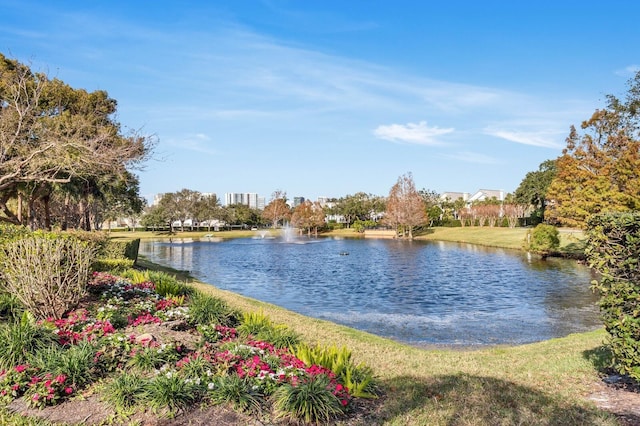 property view of water