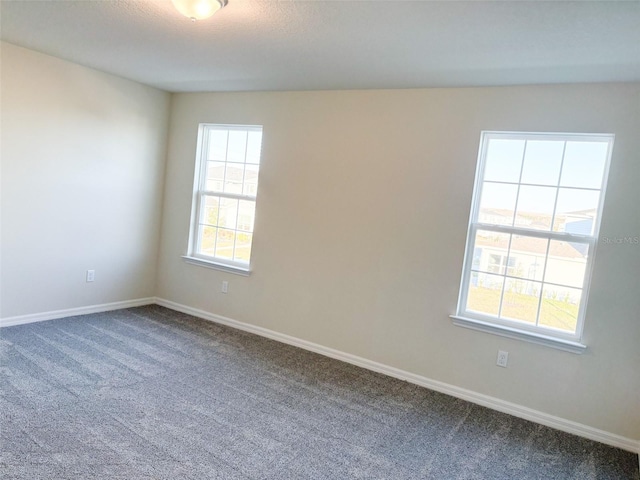 spare room featuring carpet floors