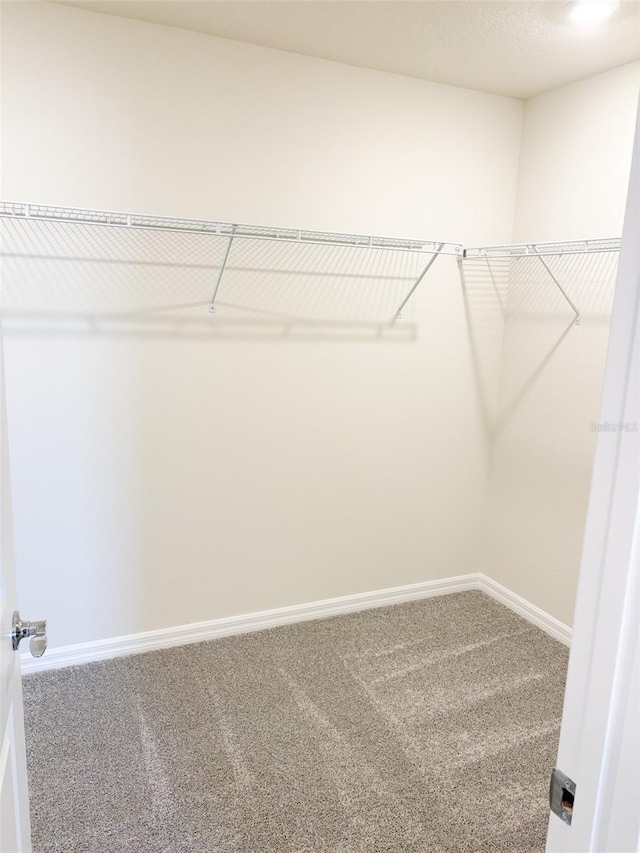 spacious closet with carpet floors