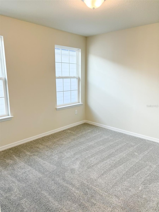 unfurnished room featuring carpet