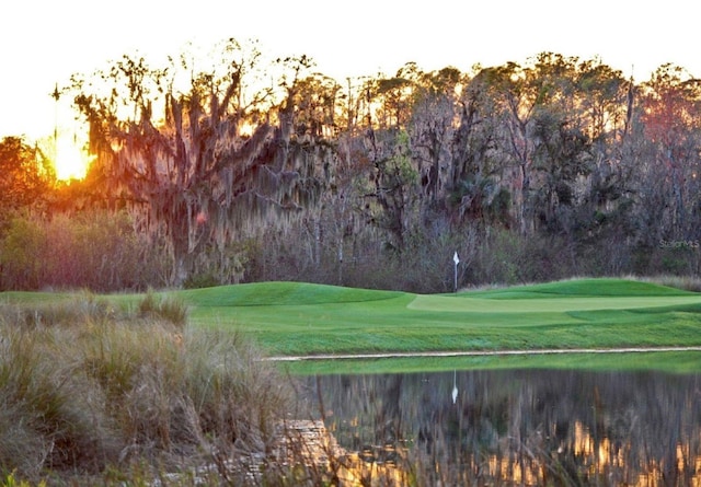 view of property's community featuring a lawn and a water view