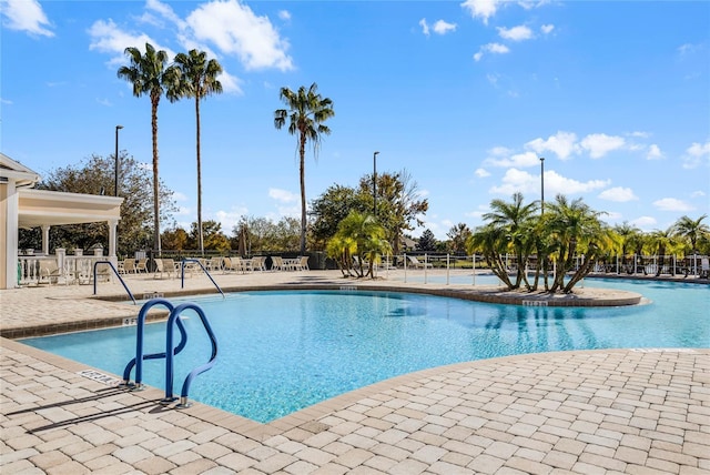 view of pool featuring a patio