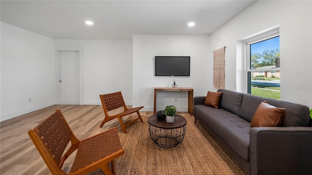 living room with hardwood / wood-style flooring