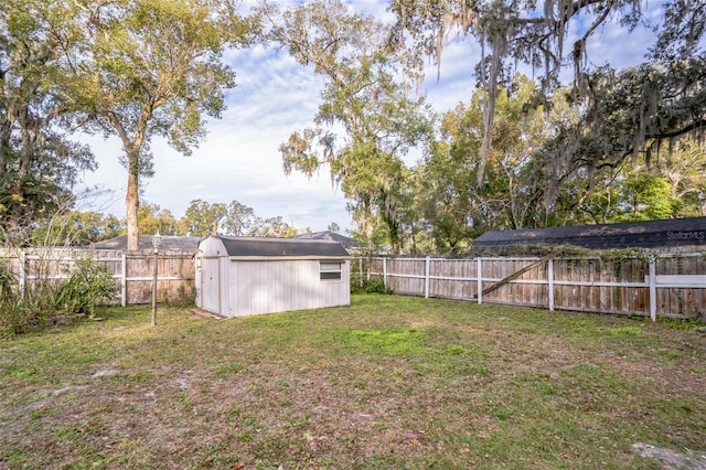 view of yard featuring a shed