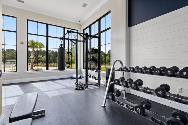 gym featuring crown molding