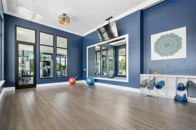 exercise room featuring hardwood / wood-style floors and a healthy amount of sunlight