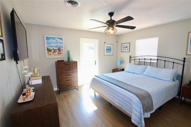 bedroom featuring ceiling fan, hardwood / wood-style floors, and multiple windows