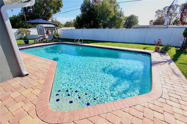 view of swimming pool with a patio area and a storage unit