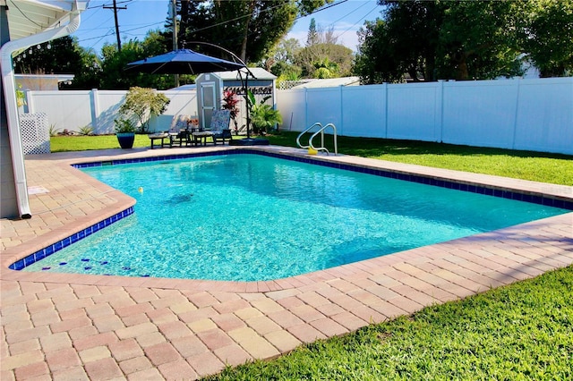 view of pool featuring a patio and a shed