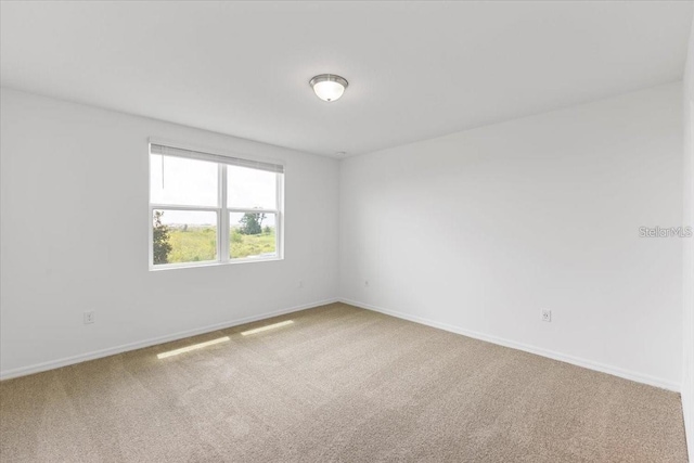 empty room featuring carpet floors