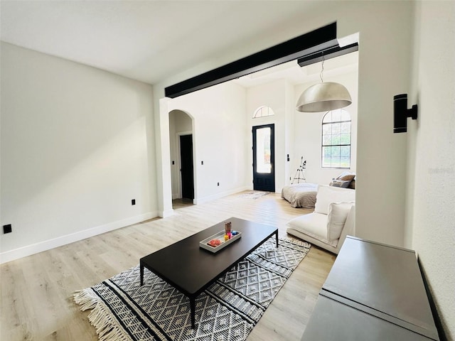 living room with hardwood / wood-style flooring