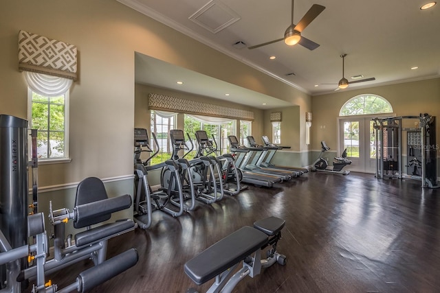 gym with ceiling fan, plenty of natural light, and crown molding