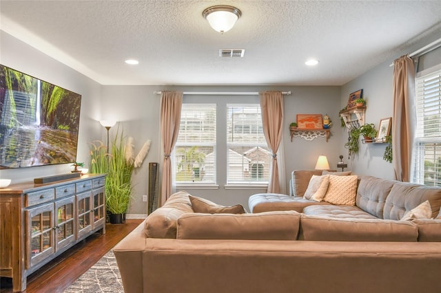 1416 Cabot Dr, Clermont, FL 34711 - living area with a textured ceiling, plenty of natural light, and dark wood finished floors