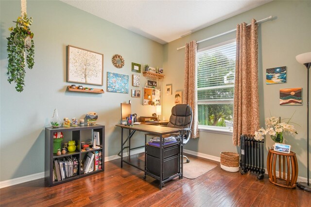 1416 Cabot Dr, Clermont, FL 34711 - office area with a wealth of natural light, radiator, hardwood / wood-style flooring, and baseboards