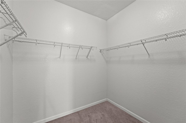 spacious closet featuring vaulted ceiling and carpet