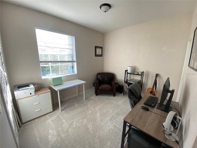 office space featuring light carpet and a textured ceiling