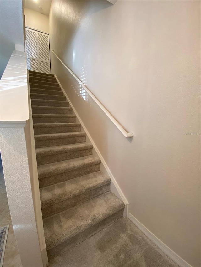 staircase featuring carpet flooring