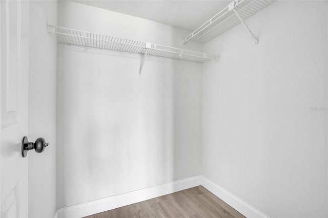 spacious closet featuring wood-type flooring