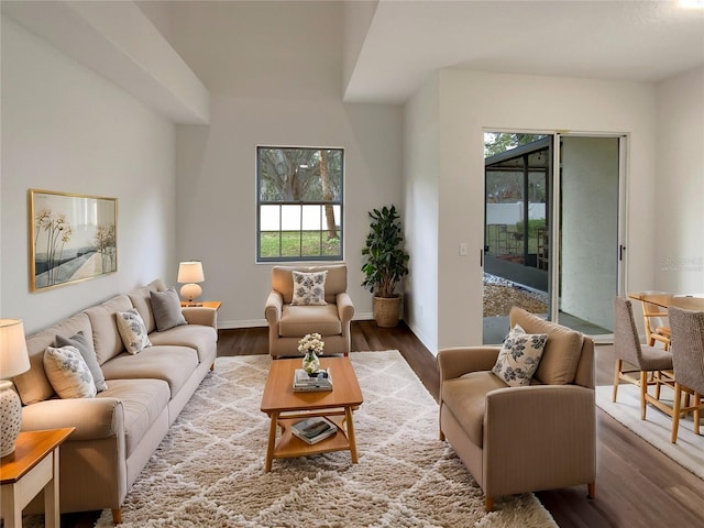 living room with wood-type flooring