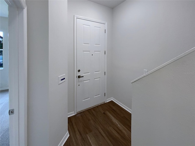 entryway with dark hardwood / wood-style flooring